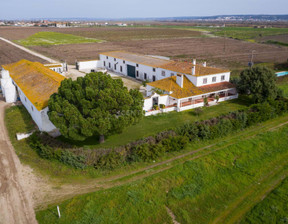 Dom na sprzedaż, Portugalia Golega, 5 976 760 dolar (24 086 344 zł), 386,6 m2, 96130805