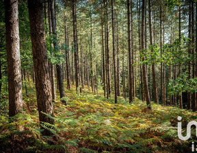 Działka na sprzedaż, Francja Norrey-En-Auge, 12 662 dolar (51 787 zł), 15 240 m2, 102010936