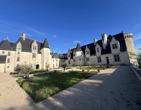 Dom na sprzedaż, Francja Châtillon-Sur-Indre, 5 325 057 dolar (21 779 482 zł), 5000 m2, 101513174