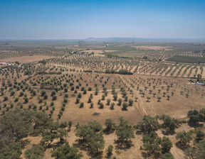 Działka na sprzedaż, Portugalia Casa Branca, 89 529 dolar (342 895 zł), 1 175 000 m2, 100380072