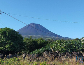 Działka na sprzedaż, Portugalia Ilha Do Pico, Santa Luzia, 44 198 dolar (169 719 zł), 1052 m2, 82734146