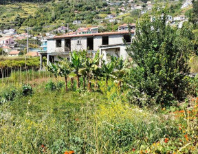 Dom na sprzedaż, Portugalia Arco Da Calheta, 216 926 dolar (832 995 zł), 195 m2, 88876079