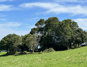 Działka na sprzedaż, Portugalia Nordeste, 94 958 dolar (364 638 zł), 18 760 m2, 90754189