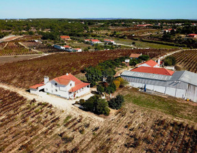 Dom na sprzedaż, Portugalia Cartaxo, 2 989 859 dolar (12 049 132 zł), 836 m2, 96122546