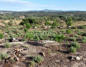 Działka na sprzedaż, Portugalia Oliveira Do Hospital, 11 172 dolar (42 787 zł), 1490 m2, 90754184