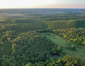 Działka na sprzedaż, Usa West Plains 0001 State Highway , 240 183 dolar (919 901 zł), 352 076,5 m2, 100194681