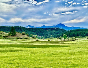 Działka na sprzedaż, Usa Pagosa Springs 2700 Terry Robinson Road, 5 900 000 dolar (22 597 000 zł), 1 294 994 m2, 98623767