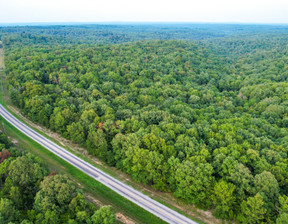 Działka na sprzedaż, Usa Mountain View 000 State Highway NN, 142 000 dolar (580 780 zł), 186 155,4 m2, 91484174