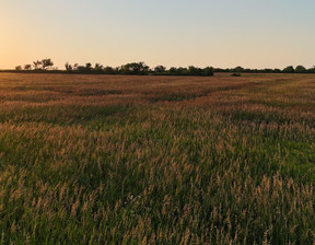 Działka na sprzedaż, Usa Alta Vista Bluestem Rd, 568 000 dolar (2 323 120 zł), 639 403,3 m2, 93448506