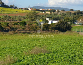 Działka na sprzedaż, Portugalia Redondo Redondo, 161 272 dolar (619 284 zł), 25 750 m2, 84730567