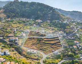 Działka na sprzedaż, Portugalia Ribeira Brava, 2 780 549 dolar (10 760 725 zł), 14 868 m2, 100493252