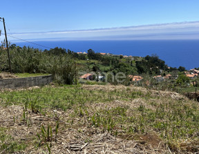 Działka na sprzedaż, Portugalia Ponta Do Sol, 83 513 dolar (323 196 zł), 890 m2, 98442445