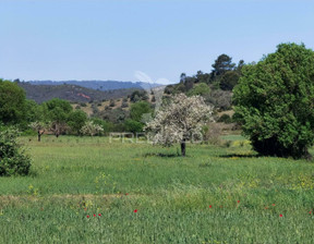 Działka na sprzedaż, Portugalia Santarém Arneiro das Milhariças, 13 503 dolar (51 715 zł), 11 150 m2, 88304645