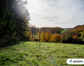 Działka na sprzedaż, Francja Rouairoux, 102 097 dolar (426 765 zł), 30 568 m2, 85251384