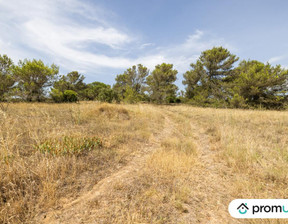 Działka na sprzedaż, Francja Malves En Minervois, 30 415 dolar (127 135 zł), 8952 m2, 94042792