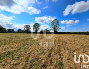 Działka na sprzedaż, Francja Lannemezan, 432 610 dolar (1 769 376 zł), 17 227 m2, 101842024