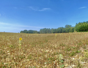 Działka na sprzedaż, Francja Massoulès, 29 017 dolar (118 678 zł), 2000 m2, 100269806