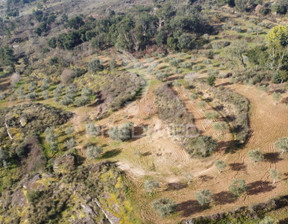 Działka na sprzedaż, Portugalia Trancoso VALDUJO, 27 922 dolar (106 943 zł), 34 185 m2, 95685921