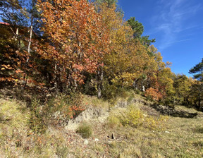 Działka na sprzedaż, Francja Andon, 87 577 dolar (358 191 zł), 1000 m2, 101656937