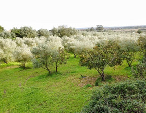 Działka na sprzedaż, Portugalia Santarém, 148 136 dolar (568 841 zł), 26 720 m2, 93857590