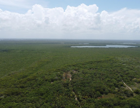 Mieszkanie na sprzedaż, Meksyk Cancún Av. Mayapan 7A, 77505 Cancún, Q.R., Mexico, 141 732 dolar (592 438 zł), 88 m2, 100985638