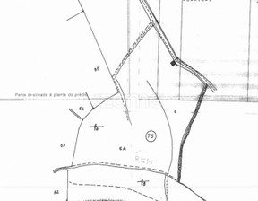 Działka na sprzedaż, Portugalia Cartaxo, 544 990 dolar (2 185 410 zł), 68 240 m2, 68052381