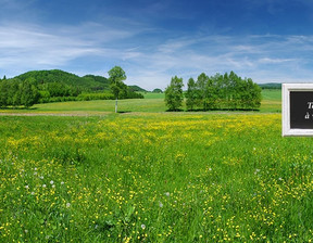 Działka na sprzedaż, Francja Orée D'anjou, 105 409 dolar (431 124 zł), 663 m2, 100879389