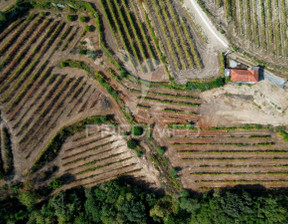 Działka na sprzedaż, Portugalia Castelo De Paiva Sobrado e Bairros, 217 030 dolar (831 223 zł), 8902 m2, 100883470