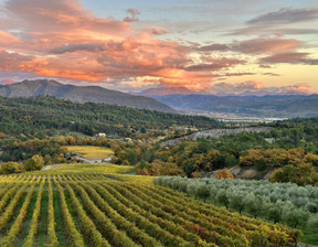 Dom na sprzedaż, Francja Châteauneuf-Val-Saint-Donat, 6 216 732 dolar (25 426 436 zł), 499,91 m2, 102033559