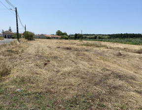 Działka na sprzedaż, Portugalia Caldas Da Rainha - Nossa Senhora Do Pópulo, Coto E, 251 800 dolar (966 911 zł), 3850 m2, 100230202