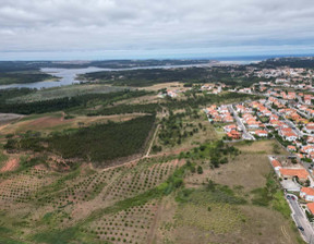 Działka na sprzedaż, Portugalia Caldas Da Rainha - Nossa Senhora Do Pópulo, Coto E, 324 542 dolar (1 242 996 zł), 11 736 m2, 100230378