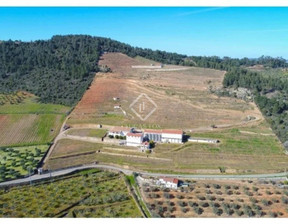 Dom na sprzedaż, Portugalia Vila Flor, 804 348 dolar (3 088 696 zł), 900 m2, 90088022