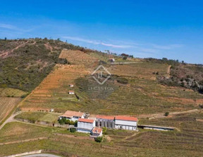 Dom na sprzedaż, Portugalia Vila Flor, 771 516 dolar (3 109 208 zł), 900 m2, 90088022