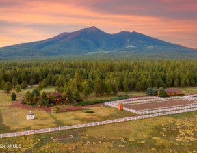 Dom na sprzedaż, Usa Flagstaff 7300 N Snow Bowl Road, 2 500 000 dolar (10 225 000 zł), 185,81 m2, 100289343