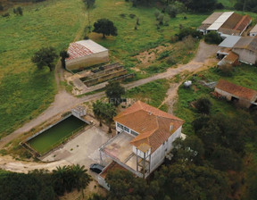 Dom na sprzedaż, Portugalia Santarém, 2 369 030 dolar (9 547 192 zł), 360 m2, 96128395