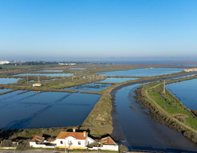 Działka na sprzedaż, Portugalia Alcochete, 4 974 866 dolar (19 053 736 zł), 906 500 m2, 96120976