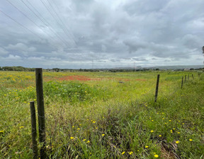 Działka na sprzedaż, Portugalia Quinta Do Anjo, 99 426 dolar (380 803 zł), 14 250 m2, 96575533