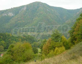 Działka na sprzedaż, Bułgaria Ловеч/lovech с. Рибарица/s. Ribarica, 35 939 dolar (144 114 zł), 3365 m2, 94033215