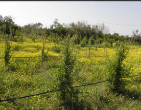 Działka na sprzedaż, Grecja Platanos Epar.Od. Platanou-Lambias, 38 977 dolar (156 299 zł), 18 000 m2, 68082000