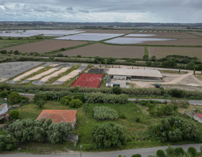 Działka na sprzedaż, Portugalia Vila Verde, 67 147 dolar (257 843 zł), 1646,4 m2, 96119470