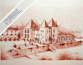 Dom na sprzedaż, Francja Casteljaloux, 2 625 548 dolar (10 974 792 zł), 1000 m2, 89594523